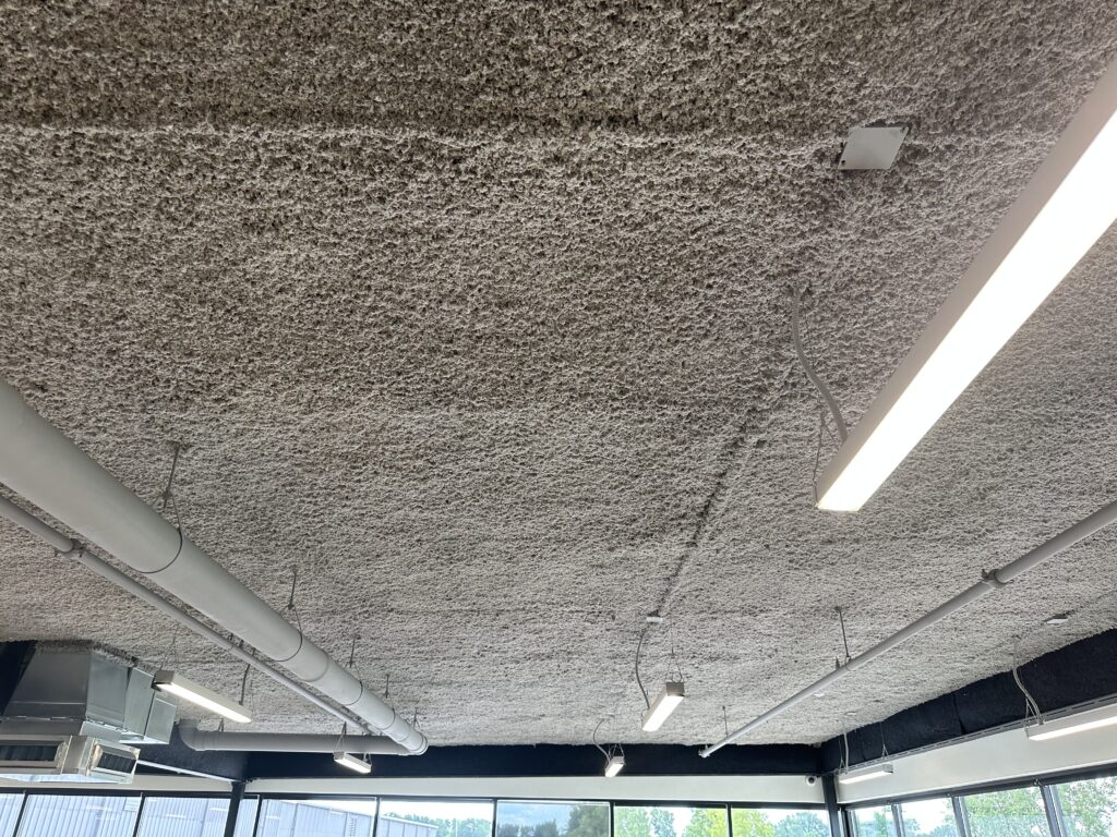 Img 0931